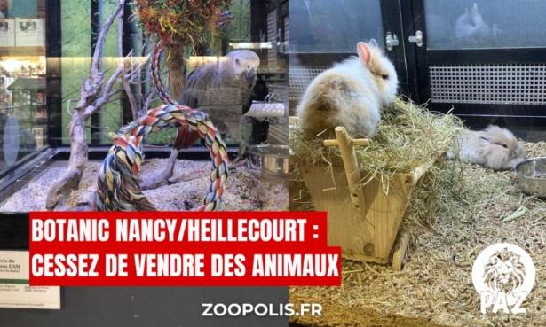 Botanic Nancy/Heillecourt : cessez de vendre des animaux !