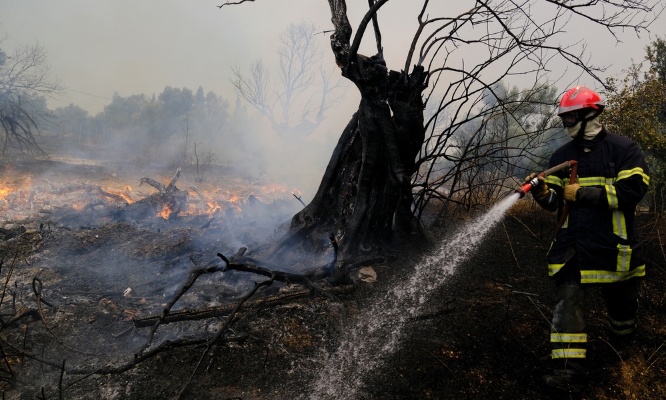 Nos for&ecirc;ts br&ucirc;lent, nos secours &eacute;touffent, exigeons un plan d'urgence de l'&Eacute;tat !