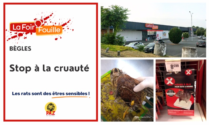 Stop aux pi&egrave;ges &agrave; colle &agrave; la Foir'Fouille B&egrave;gles