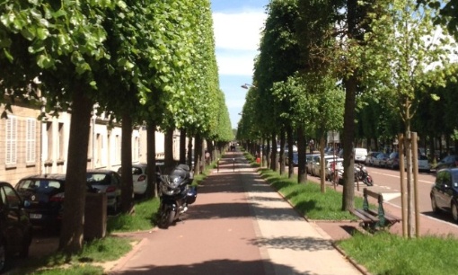 Pour plus d'ombre boulevard de la Reine : modifions la taille des tilleuls