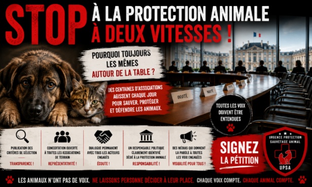 Non à une protection animale à deux vitesses