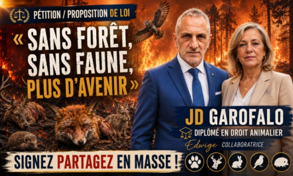 « Sans forêt, sans faune, plus d'avenir »