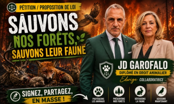Sauvons nos for&ecirc;ts, sauvons leur faune