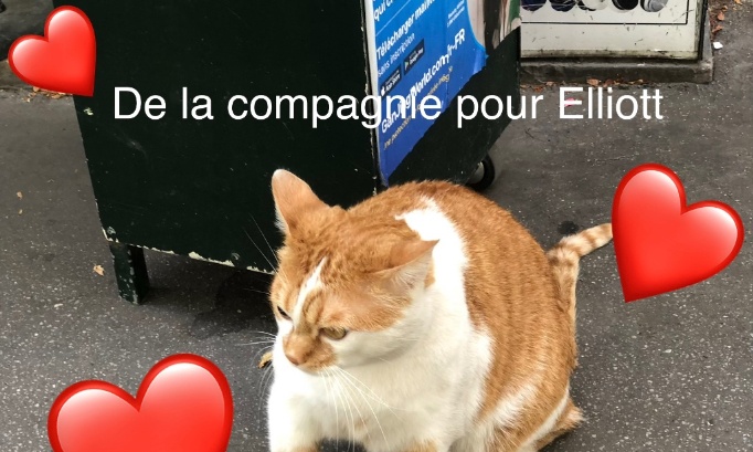 Pour qu’Elliott trouve enfin une petite amie : aidons‑le maintenant