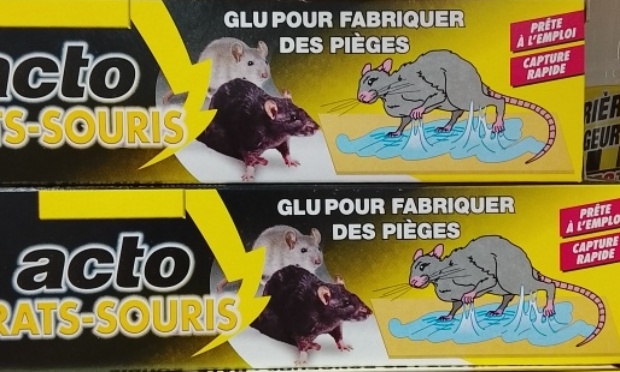 Stop &agrave; la vente des pi&egrave;ges &agrave; colle chez Gamm Vert Bapaume