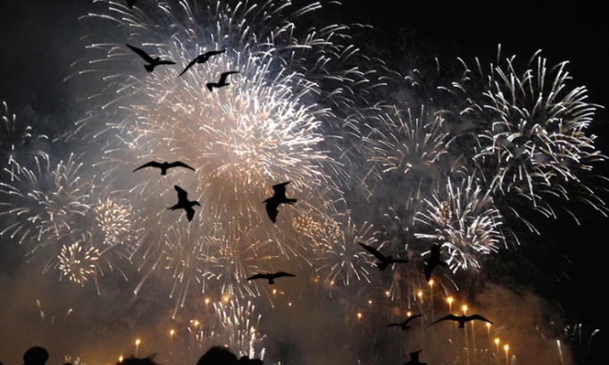 Feux d'artifice : annulation des 
