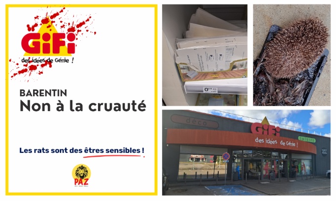 Stop aux pièges à colle au GiFi Barentin