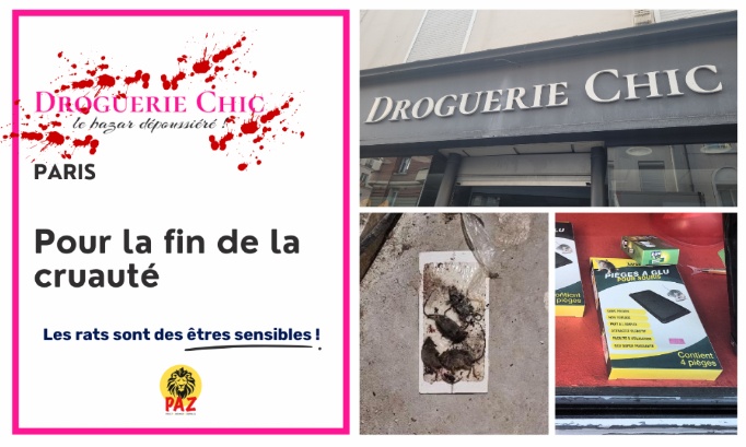 Non aux pièges à colle à la Droguerie chic à Paris