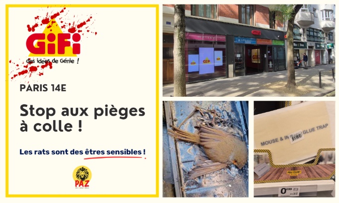 Stop aux pièges à colle au GiFi Paris 14e