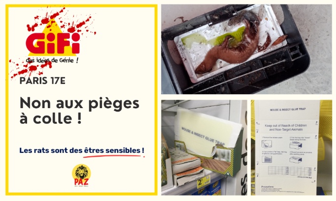 Gifi Paris 17e : non aux pièges à colle !