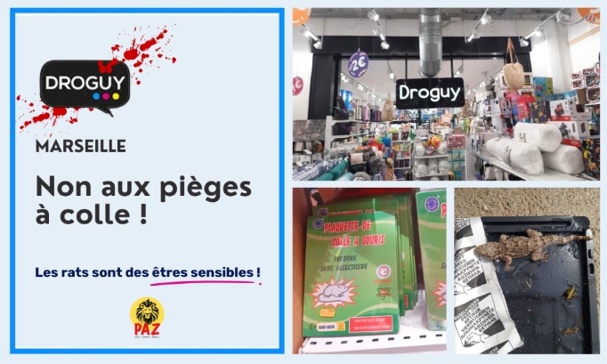 Non aux pièges à colle chez Droguy Store à Marseille