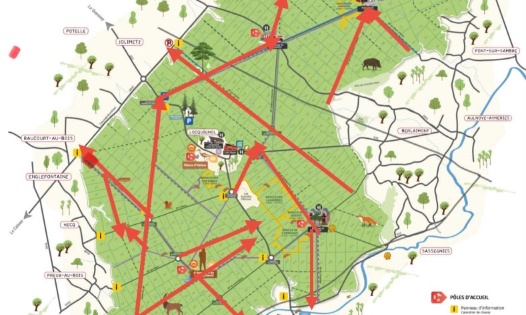 Pour la réouverture des 10 allées larges de la forêt de mormal !