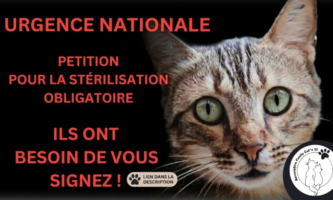 p&eacute;tition pour la st&eacute;rilisation obligatoire des f&eacute;lins et la sanction du d&eacute;faut de conformit&eacute; / l&rsquo;application d&rsquo;une tva r&eacute;duite sur les frais v&eacute;t&eacute;rinaires aff&eacute;rents