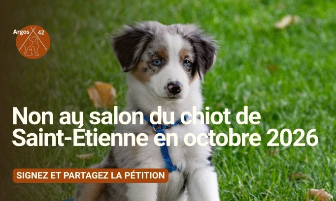 Saint-&Eacute;tienne : stoppons le salon du chiot d'octobre 2026, contraire aux engagements de la Ville