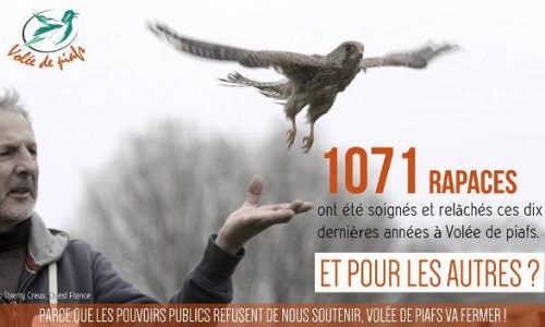 Des milliers d'animaux sauvages condamnés...
