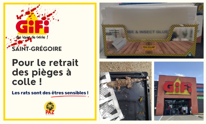 Pour le retrait des pièges à colle au GiFi Saint-Grégoire