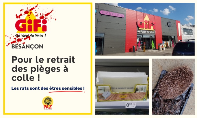 Pour le retrait des pi&egrave;ges &agrave; colle au GiFi Besan&ccedil;on