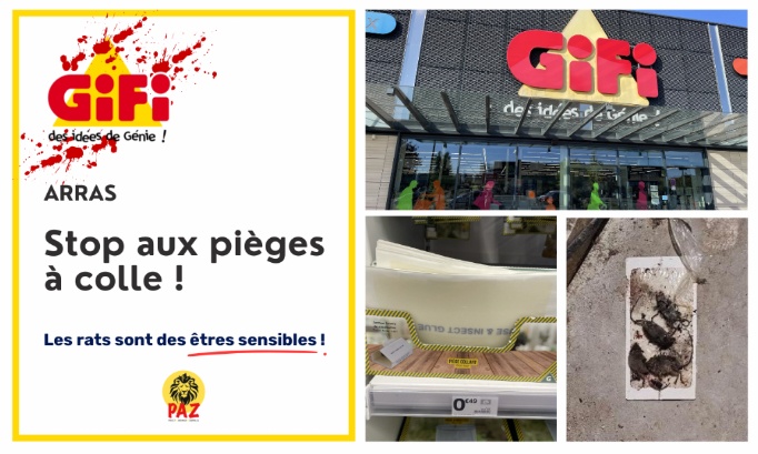 Stop aux pi&egrave;ges &agrave; colle au GiFi Arras