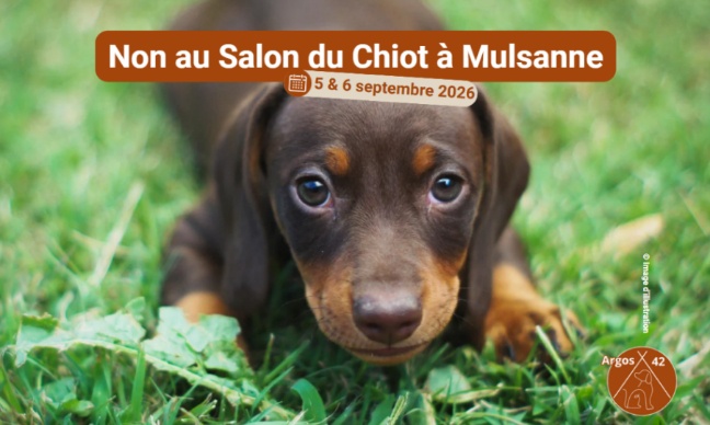 Non au salon du chiot &agrave; Mulsanne !
