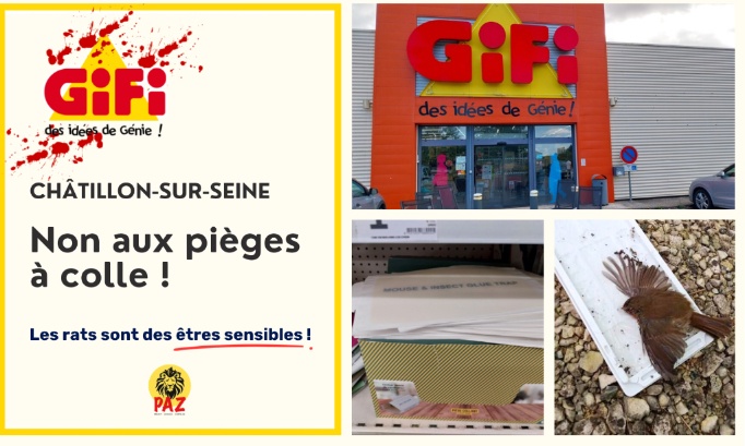 Non aux pi&egrave;ges &agrave; colle au GiFi Ch&acirc;tillon-sur-Seine