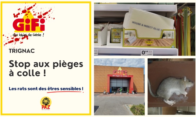 Stop aux pi&egrave;ges &agrave; colle au GiFi Trignac