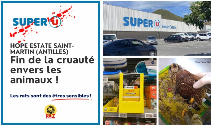 Stop &agrave; la cruaut&eacute; au Super U Hope Estate Saint-Martin (Antilles)