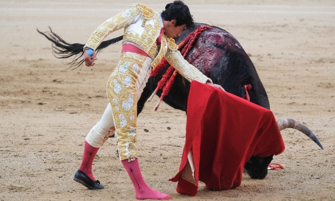 Plus de 30 taureaux sacrifi&eacute;s pour la F&eacute;ria : stop au financement public de la cruaut&eacute;
