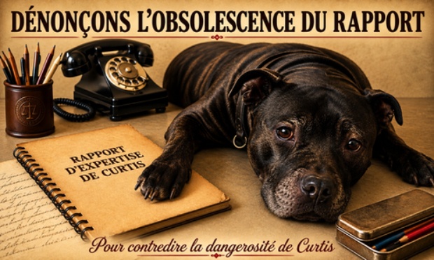 Pour sauver curtis, dénonçons l'obsolescence du rapport d'expertise.