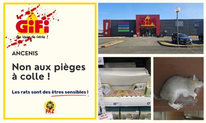 Non aux pièges à colle au GiFi Ancenis