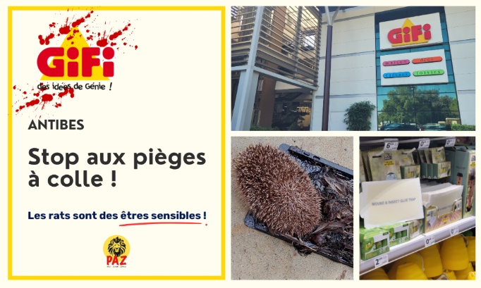 Gifi Antibes : stop aux pièges à colle !