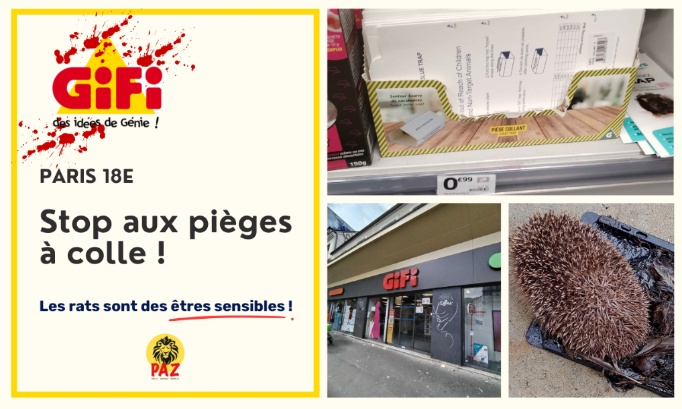 Stop aux pièges à colle au GiFi Paris 18e
