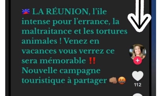 Pour une nouvelle gouvernance et la démission de Vanessa Germain