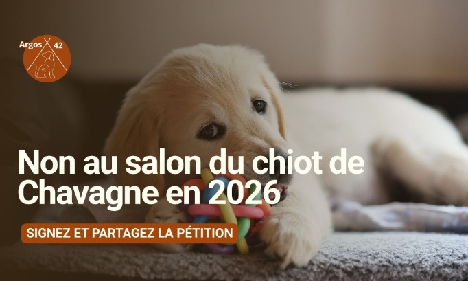 Contre le salon du chiot &agrave; Chavagne
