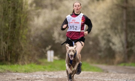 Récupérer mon chien qui m’à été offert
