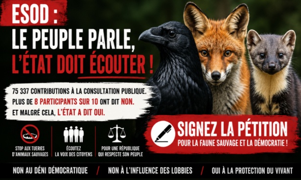 ESOD : le peuple parle, l&rsquo;&Eacute;tat doit &eacute;couter ! Stop au massacre de la faune sauvage