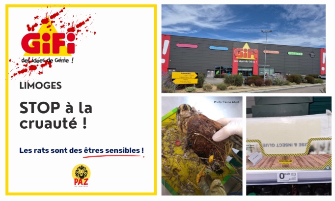 Stop à la cruauté envers les animaux à GiFi Limoges