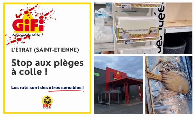 Stop &agrave; la cruaut&eacute; envers les animaux &agrave; GiFi L&rsquo;&Eacute;trat