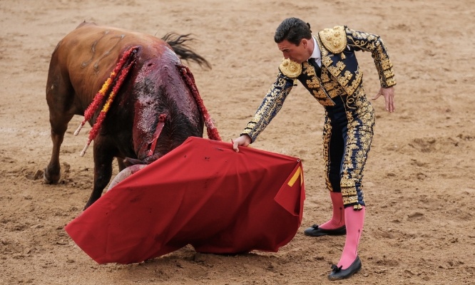 Interdisez la corrida maintenant pour prot&eacute;ger les animaux