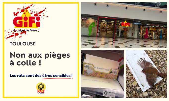 Gifi Toulouse : non aux pi&egrave;ges &agrave; colle !