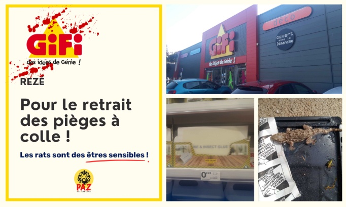 Pour le retrait des pi&egrave;ges &agrave; colle au GiFi Rez&eacute;