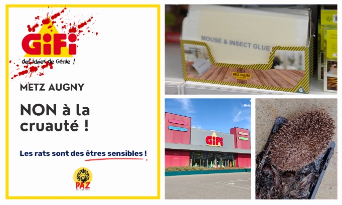 Non aux pi&egrave;ges &agrave; colle au GiFi Metz