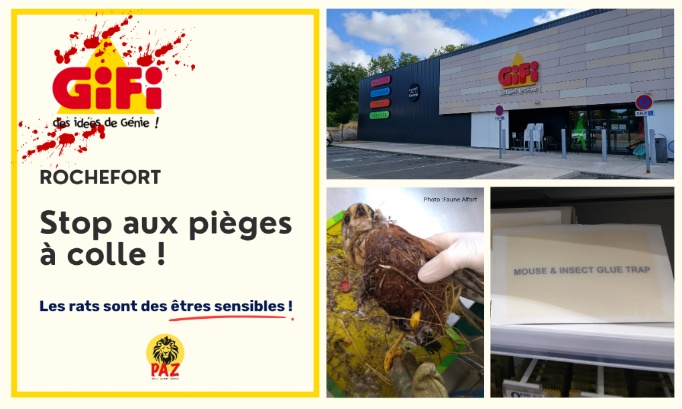 Gifi Rochefort : stop aux pi&egrave;ges &agrave; colle !
