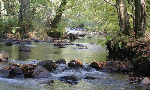 Non à la disparition des rus, des ruisseaux, des petites rivières de la carte des cours d’eau
