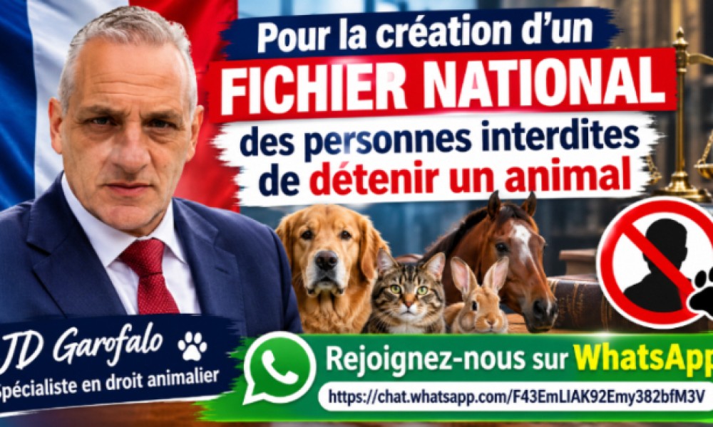 Pour la création d’un fichier national des personnes interdites de détenir un animal