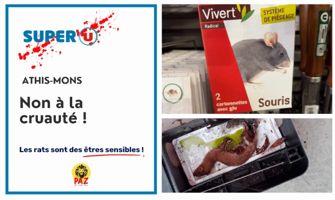 Stop à la cruauté envers les animaux au Super U Athis Mons