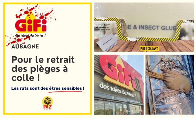 Gifi Aubagne : pour le retrait des pièges à colle !