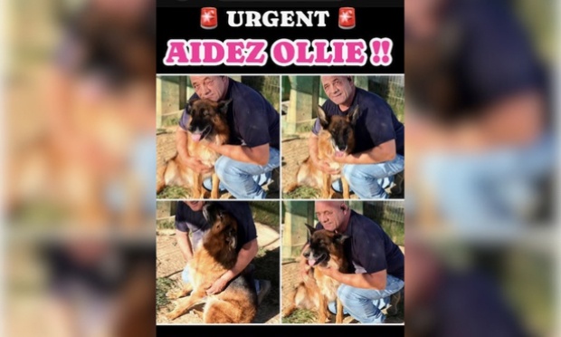 Pour qu'Ollie puisse rester chez David Pornet à vie !!