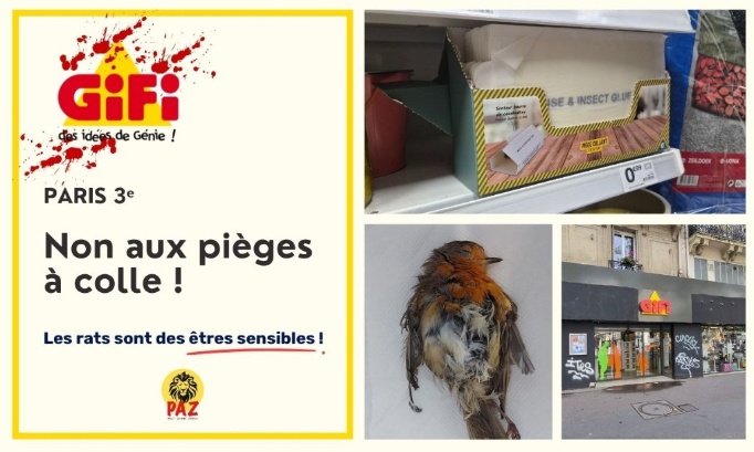GiFi Paris 3e : non aux pi&egrave;ges &agrave; colle !