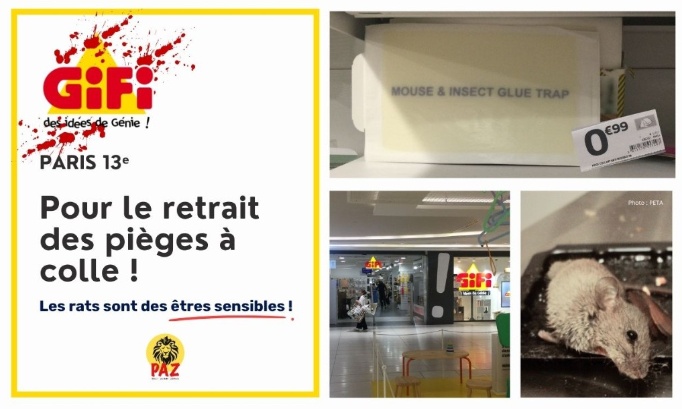 GiFi Paris 13e : pour le retrait des pièges à colle !