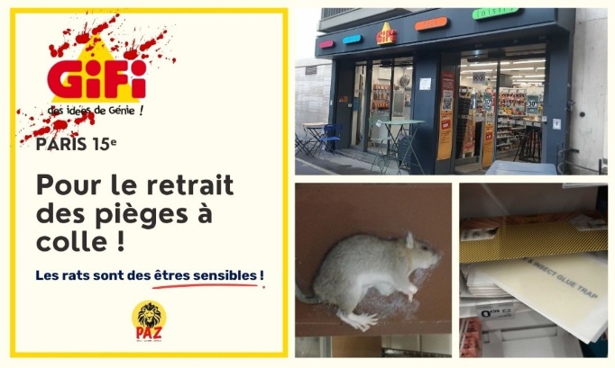 Pour le retrait des pi&egrave;ges &agrave; colle au GiFi Paris 15ᵉ